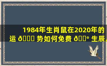 1984年生肖鼠在2020年的运 🍀 势如何免费 💮 生辰八字查询结果准确吗